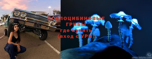 молекула духа Беломорск