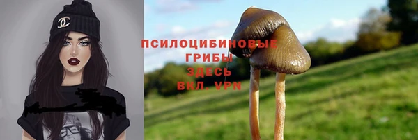 амф Белокуриха