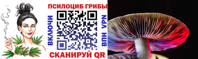 Псилоцибиновые грибы Magic Shrooms наркота Саяногорск