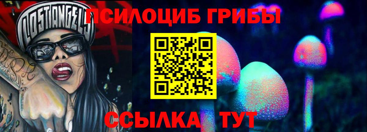 цены наркотик  Вход с VPN  Саяногорск  Галлюциногенные грибы Cubensis 